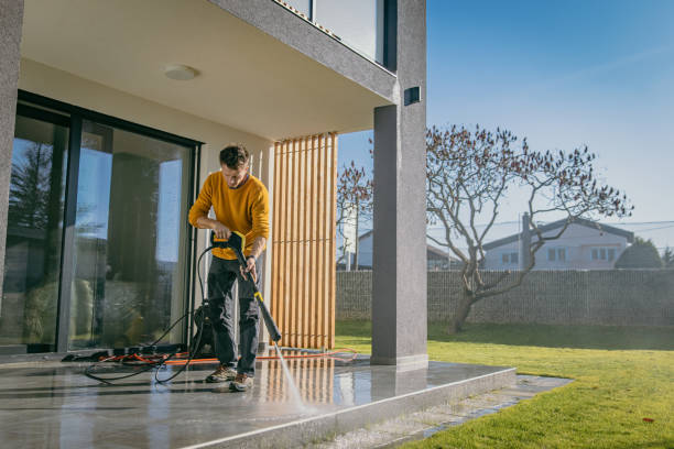Best Roof Washing  in Jackson, AL